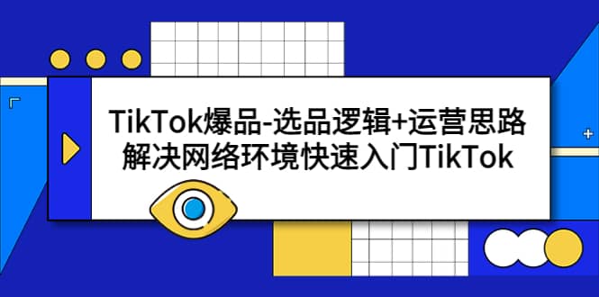 TikTok爆品-选品逻辑 运营思路：解决网络环境快速入门TikTok-吾爱网赚